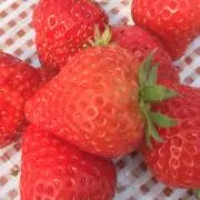 グラハナの画像