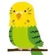やどかりさんの画像