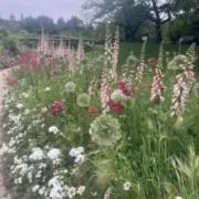 なさんの画像