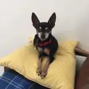ロコ 水曜日対応不可の画像