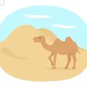 きゃめる＊いつでも購入どぞ！の画像