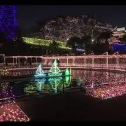 なかじーの画像