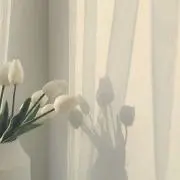 こしょうの画像