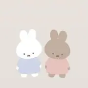 ココの画像
