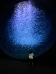 ちえみん☆の画像
