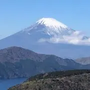 坂本