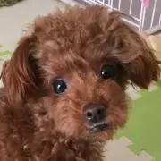 keiの画像