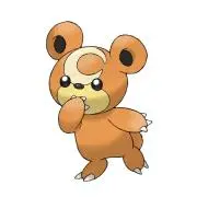 ヒメグマの画像