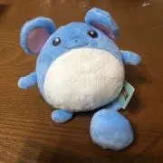 さんちゃんの画像