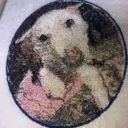 みっくんの画像