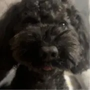 さとこ