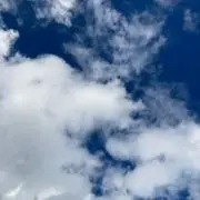 c&d.sの画像