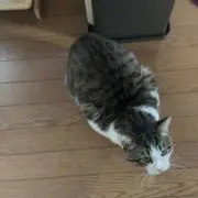まあ。の画像