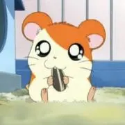 ぽにょの画像