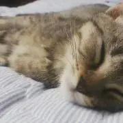 ＊まな＊