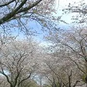ouka-i　19〜23対応不可の画像