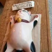 ふじっこ