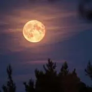 moon