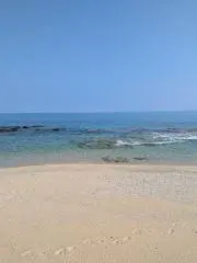 アルテミスの画像