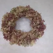 ばるの画像