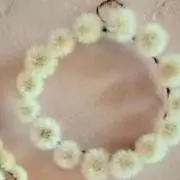 コロンの画像