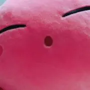 はるの画像