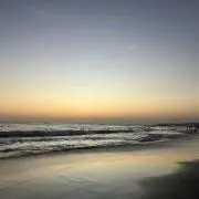 ミンメイの画像