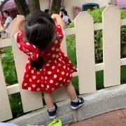 のりの画像