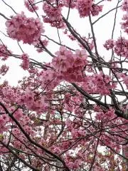EMlりんの画像