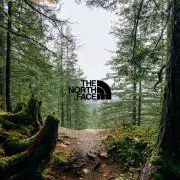 mattyの画像