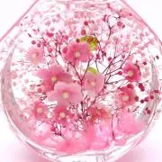 SAKURA ★フォロワー様⑤%オフ★の画像