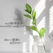 ぽにょの画像