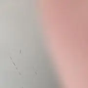 mumumuの画像
