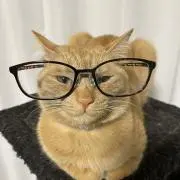 タイの子の画像