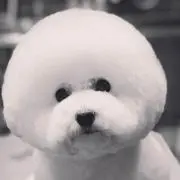 のぺ