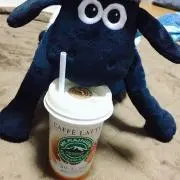 Shaun❤︎の画像