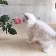 na♡