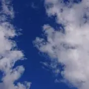ハナコ(無言取引お断り)の画像