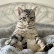 まーちゃんの画像
