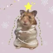 いし(プロフ必読)の画像