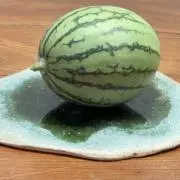めだか村の村長