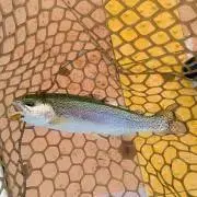 【自己紹介確認お願いします】バス釣り好きの画像
