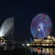 もばじの画像