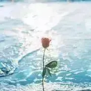 天然水の画像
