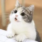ちひろの画像