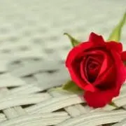 あん