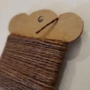 きのこの画像
