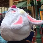 みかんちゃんの画像