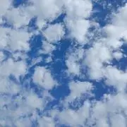 Enjoy_lifeの画像