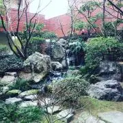 ポニョ